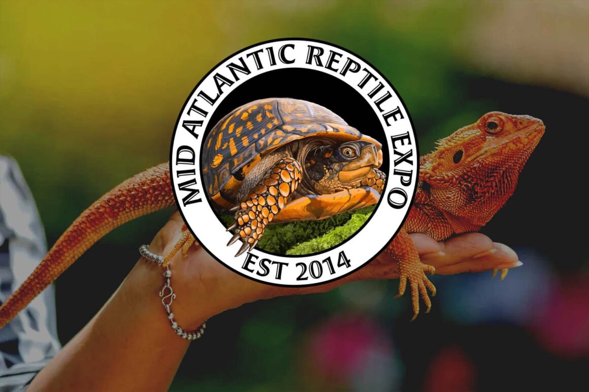 Mid-Atlantic Reptile Expo