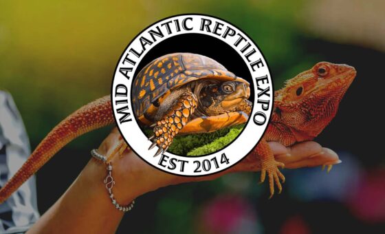 Mid-Atlantic Reptile Expo